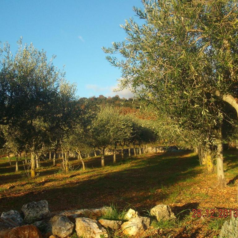 Trullo Montetrecarlini - Casa con 2 Camere da Letto - 13