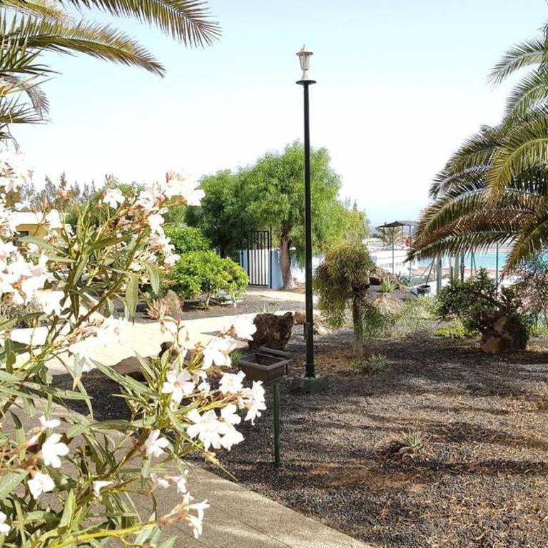 Appartement Bouganville rez-de-chaussée WIFI - Apartamento de 1 dormitorio - 6