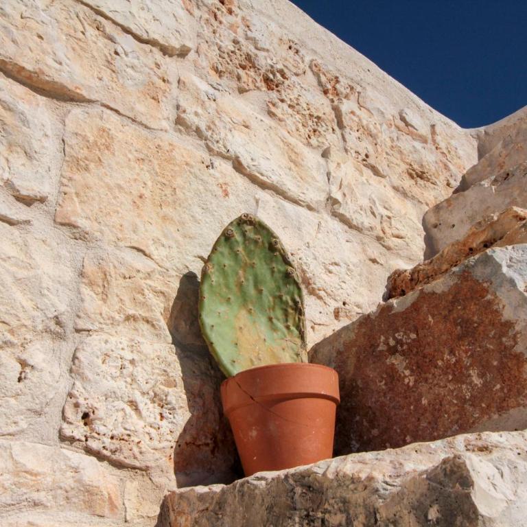 white moon holiday home - Casa Vacanze - 8