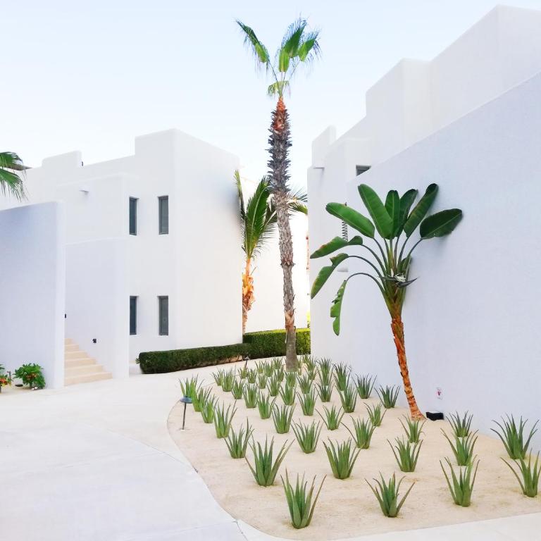 Marquis Los Cabos, an All - Inclusive, Adults - Only & No Timeshare Resort - Garden View Casita with plunge pool - 1