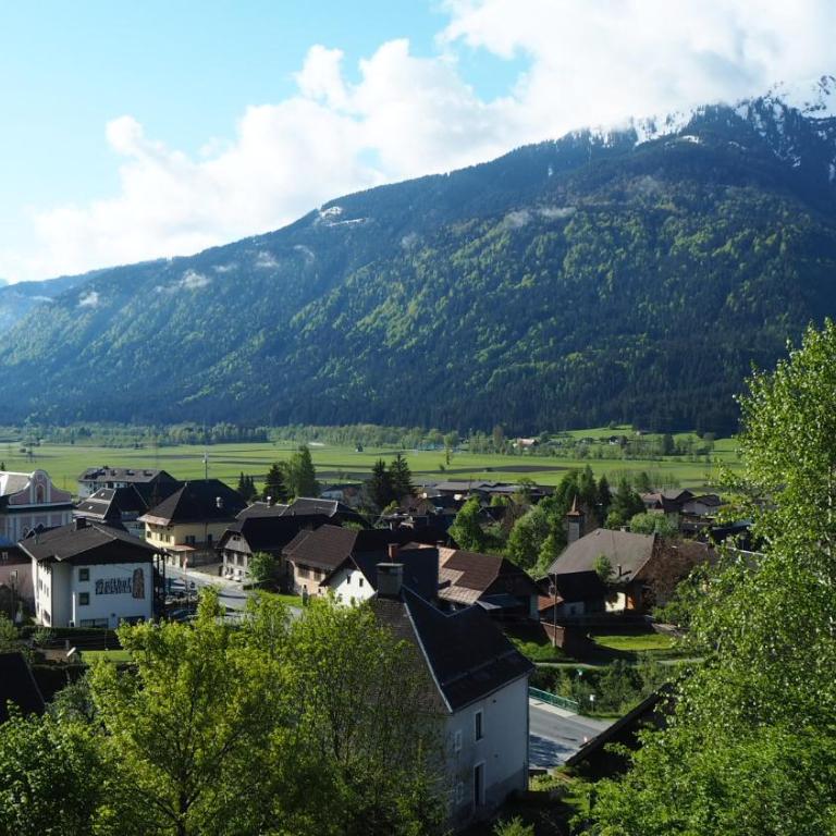 Apartment Leitn - Apartment mit Blick auf die Berge - 4
