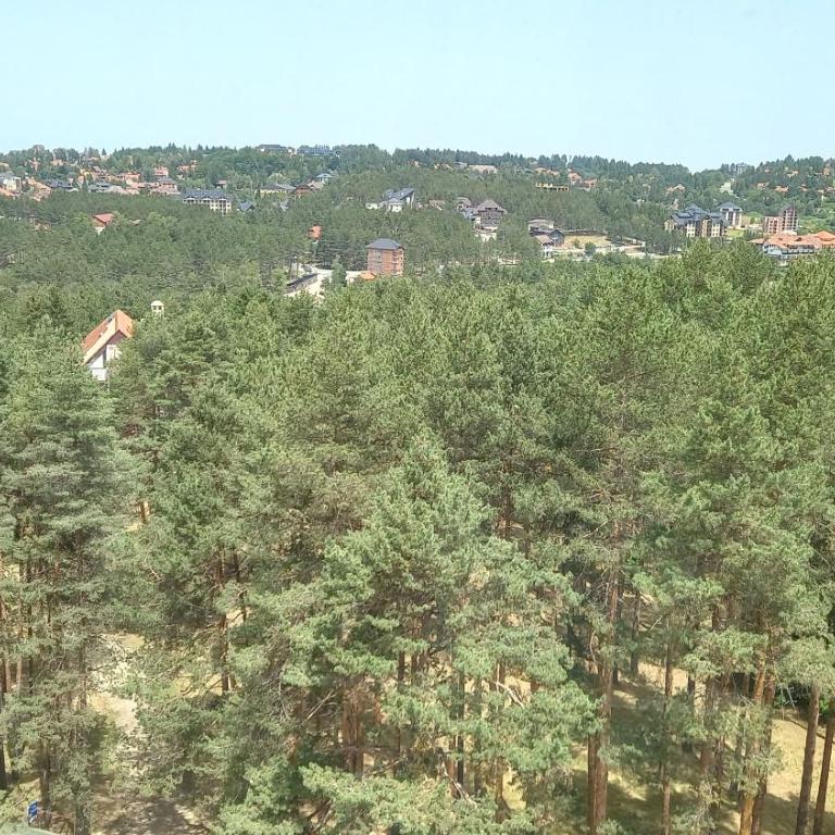 Apartman Bonita - Apartman sa 1 Spavaćom Sobom - 29