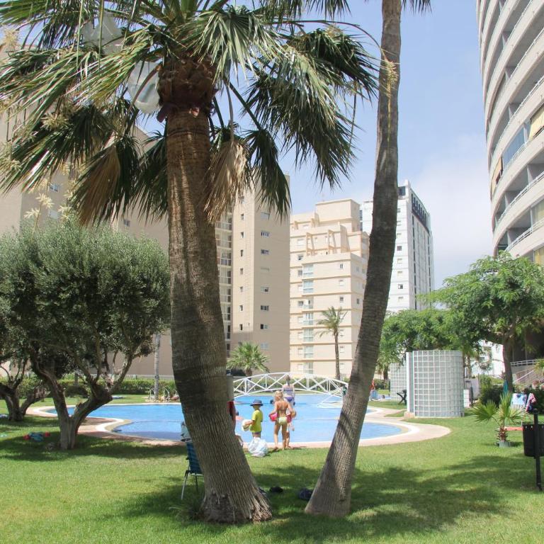 Apartamento Apolo XIV - Costa CarpeDiem - Apartamento - 24