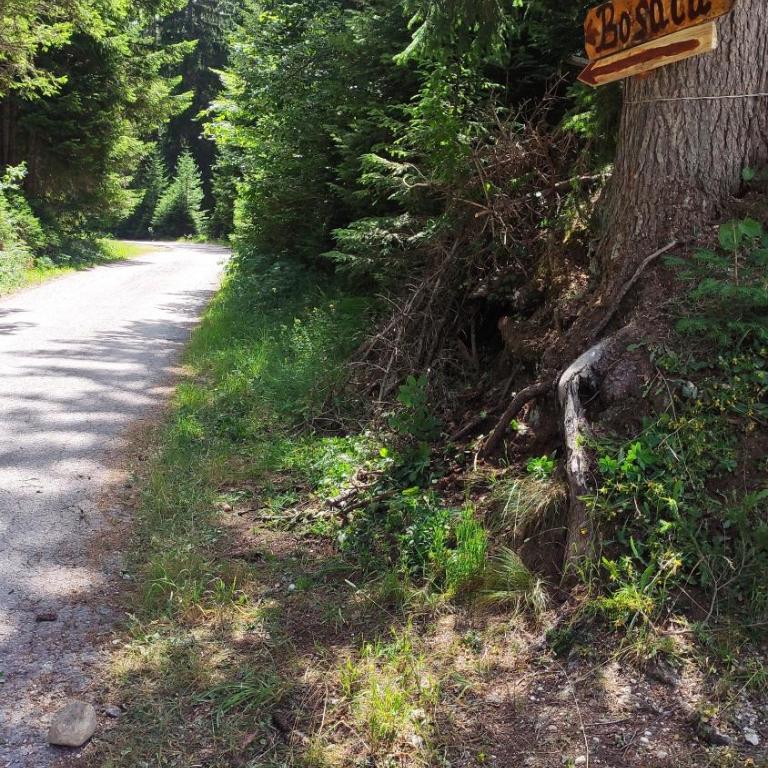 Cottage Bosaca - One-Bedroom Chalet - 23