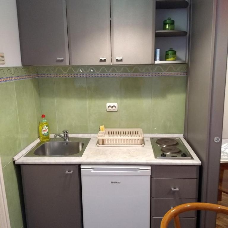 Apartman Terazije 1 - Apartman sa 1 Spavaćom Sobom - 8