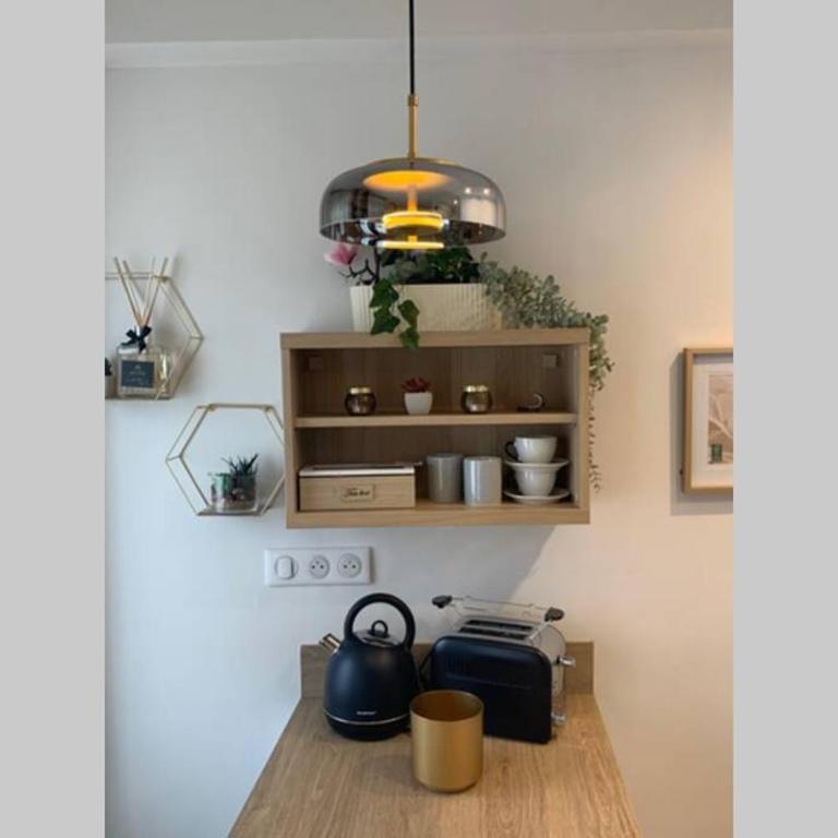 Joli appartement haut standing en hyper centre - Appartamento con 1 Camera da Letto - 4