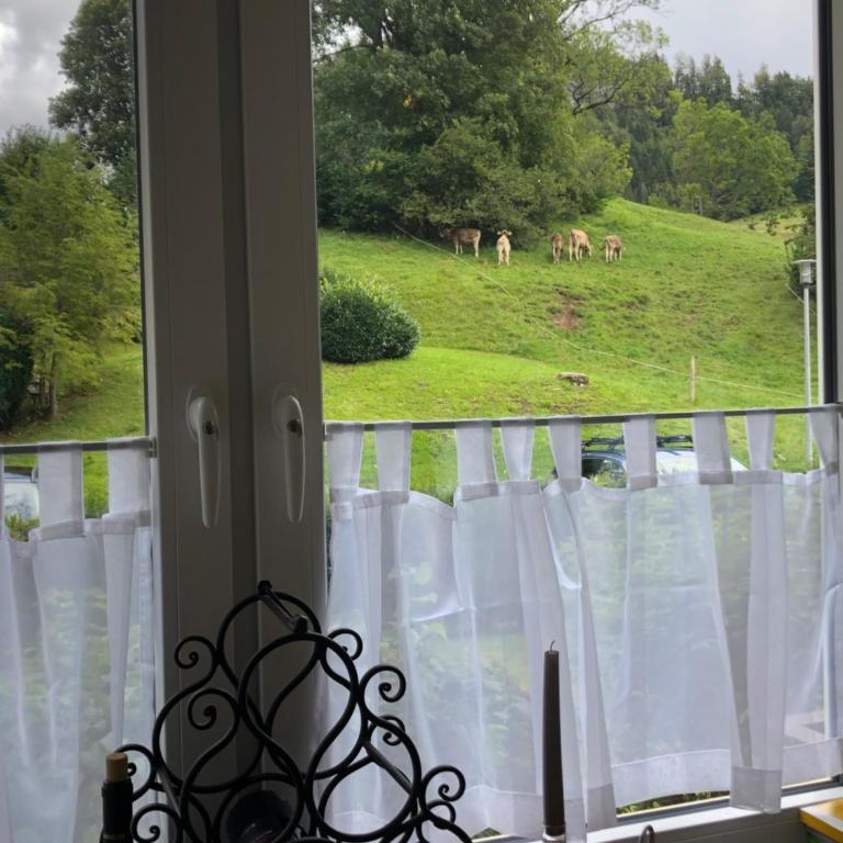 Ferienwohnung Oberstdorf - Apartment mit 1 Schlafzimmer - 3