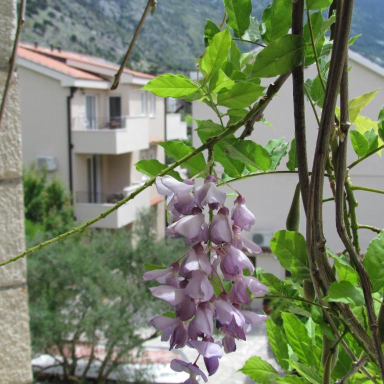 Apartmani Kovačević - Studio - 11