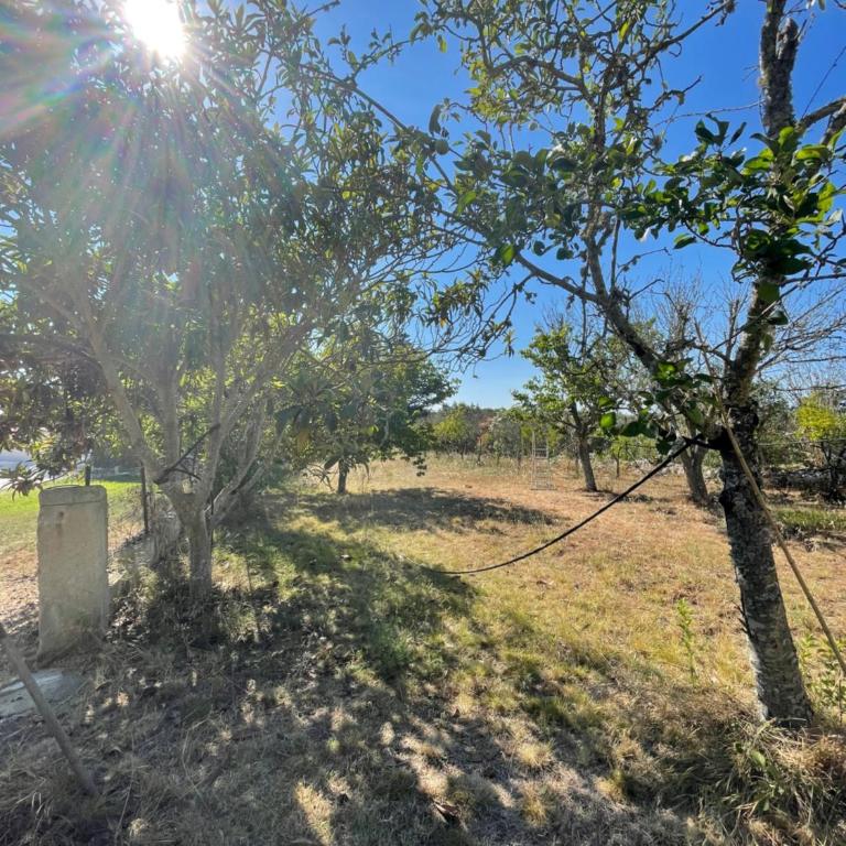 Villa Anna Maria Otranto - Appartamento con 1 Camera da Letto e Vista Giardino (3 Adulti) - 52