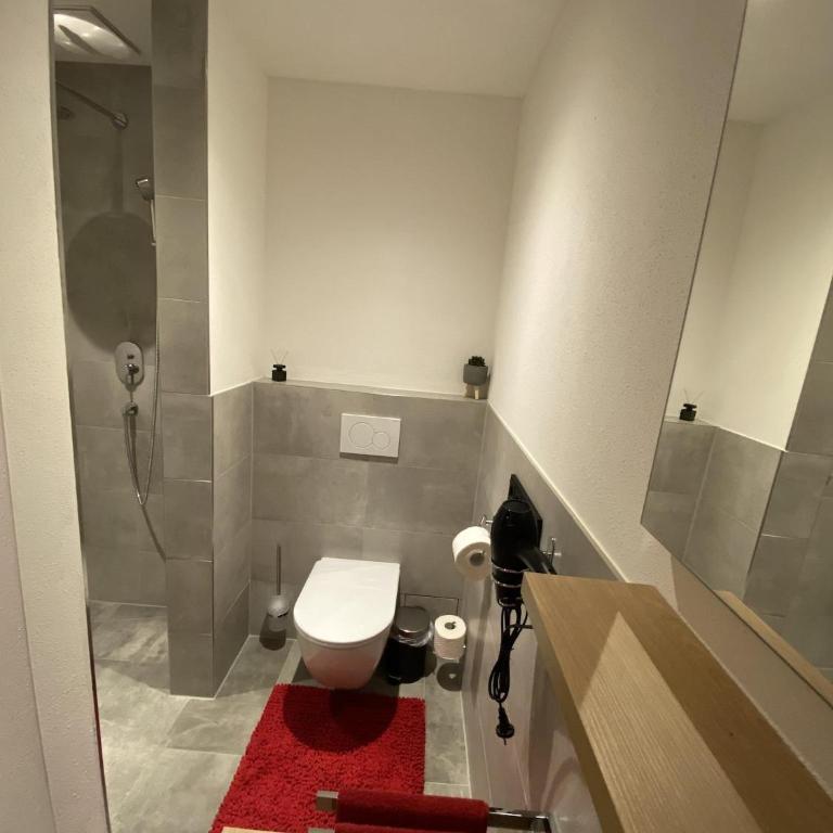 Ferienwohnung Troger - Apartamento de 1 dormitorio con ducha - 9