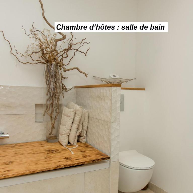 chambre d'hôte et gîte du jardin des corsaires - Chambre Double - Vue sur Jardin - 6