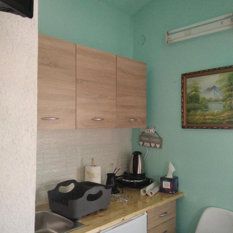 Apartman Aleksandra - One-Bedroom Apartment - 3