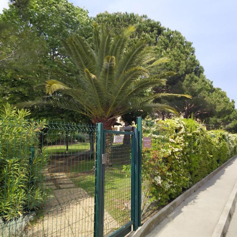 Studio Paradise entre mer et pins - Apartamento de 1 dormitorio - 7