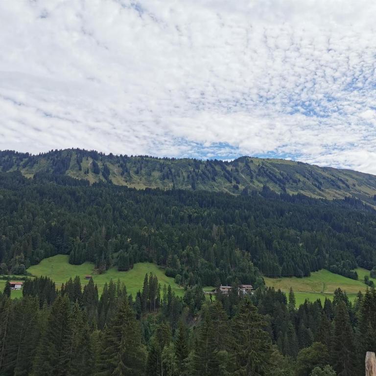 Ferienwohnung NEST - Apartment mit 2 Schlafzimmern und Badezimmer - 30