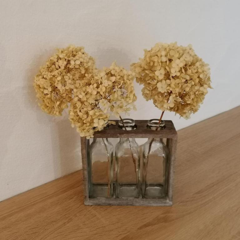 Ferienwohnung "Am Seebach" - Apartment mit 1 Schlafzimmer und Dusche - 4