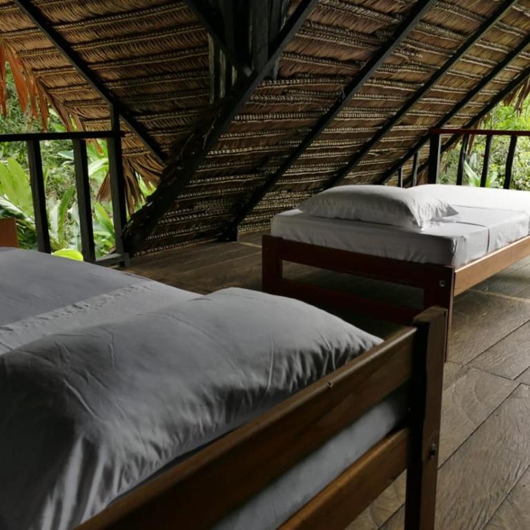 Maloka Napü - Ecodestinos - Habitación Compartida Mixta - 4
