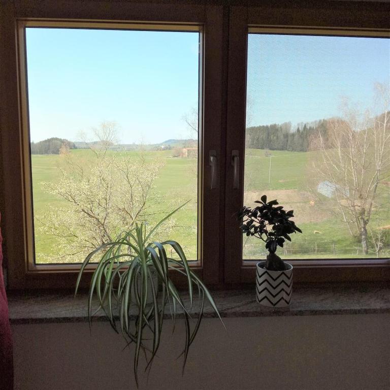 Gasthof Grüner Baum "Kongo" - Apartment mit 2 Schlafzimmern und Badezimmer - 7
