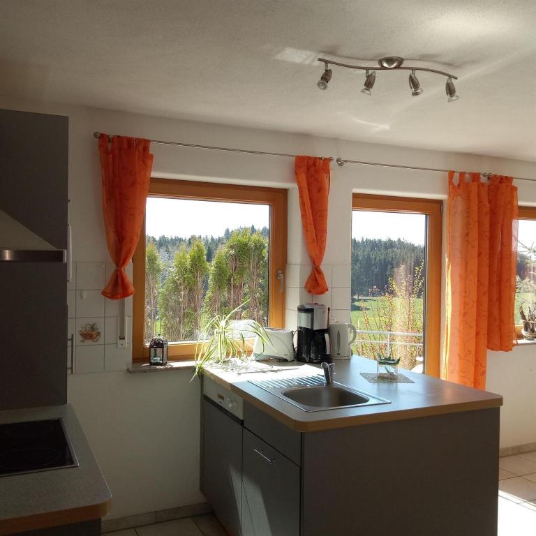 Gasthof Grüner Baum "Kongo" - Apartment mit 2 Schlafzimmern und Badezimmer - 8