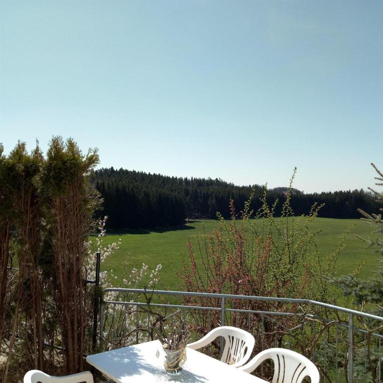Gasthof Grüner Baum "Kongo" - Apartment mit 2 Schlafzimmern und Badezimmer - 10