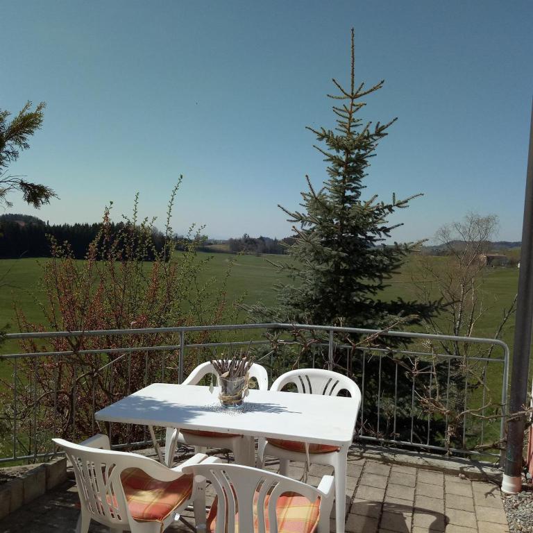 Gasthof Grüner Baum "Kongo" - Apartment mit 2 Schlafzimmern und Badezimmer - 12