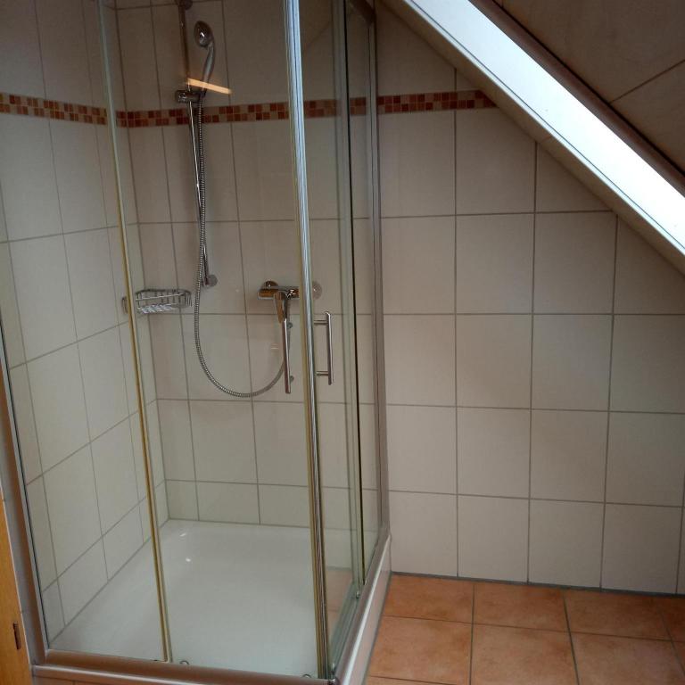 Gasthof Grüner Baum "Kongo" - Doppelzimmer mit Dusche - 12
