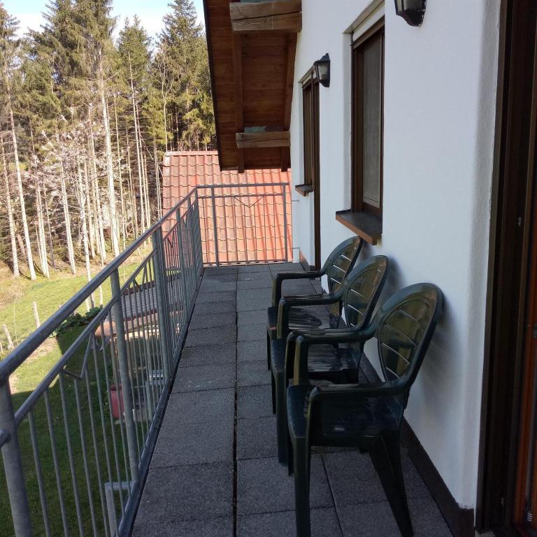 Gasthof Grüner Baum "Kongo" - Apartment mit Bad - 13