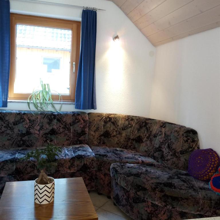 Gasthof Grüner Baum "Kongo" - Apartment mit Bad - 14