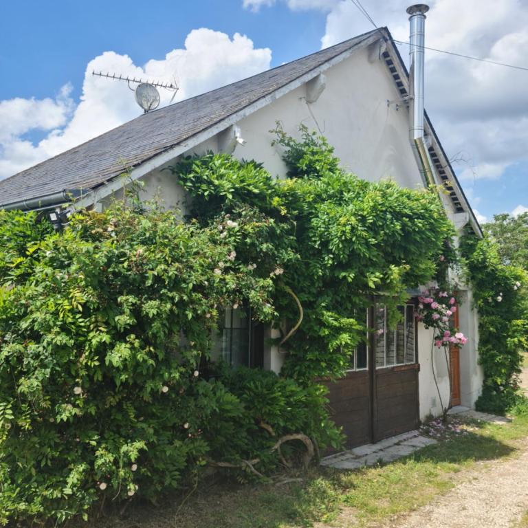 "Gîte Les Glycines" linge inclus proche centre-ville - Haus mit 1 Schlafzimmer - 17
