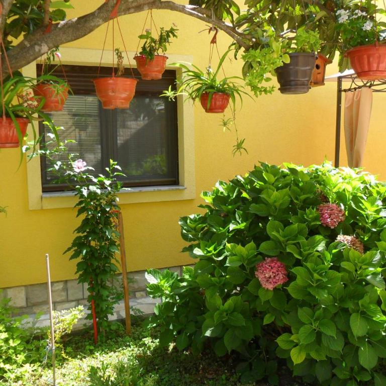 Apartments Matkovic - Two-Bedroom Apartment - 14