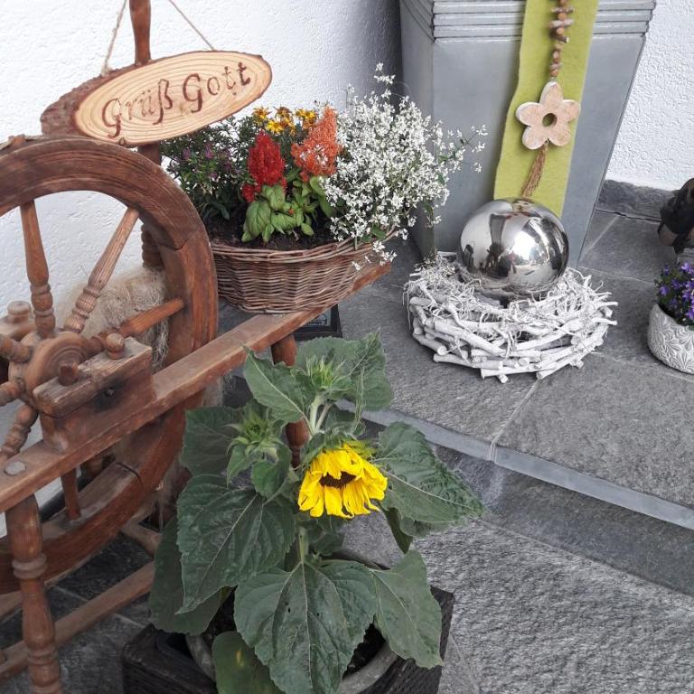 Appartement Hödlmoser - Two-Bedroom Apartment - 17