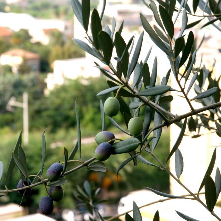 M Suites Sorrento - One-Bedroom Apartment with Bath and Sea View - 3