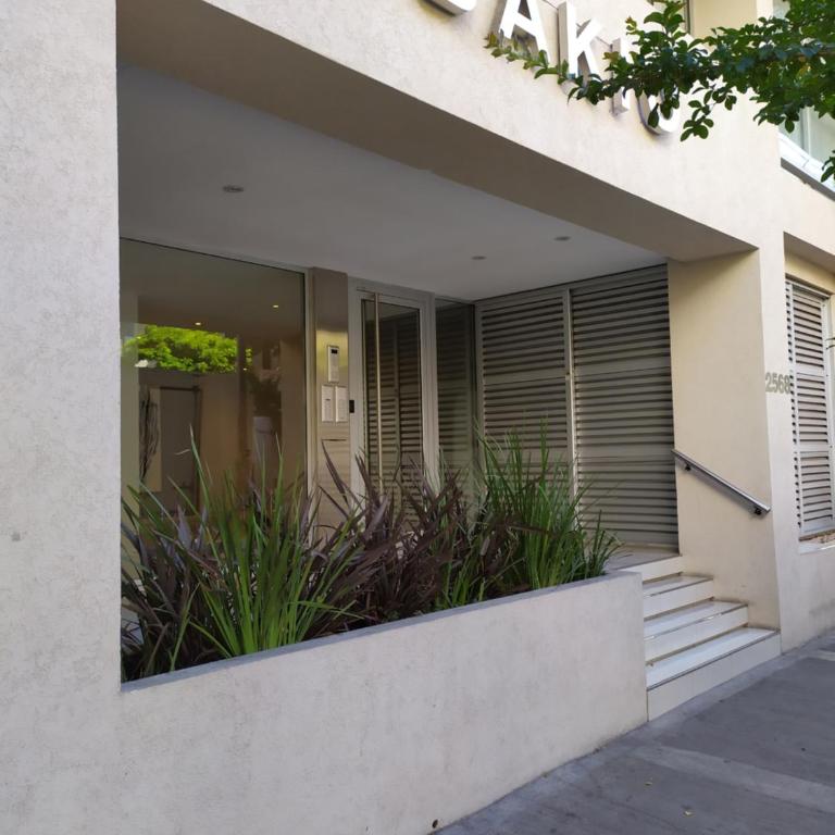 Pina - Apartamento de 1 dormitorio - 2