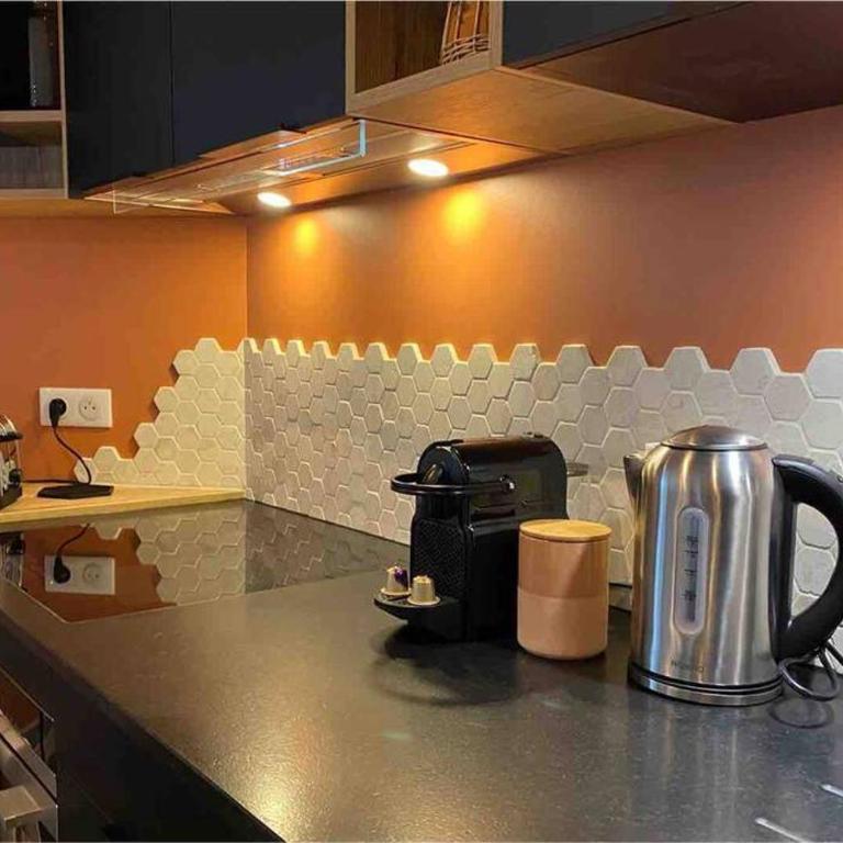 Le Bohème Beau T2 vue lac & montagnes + garage - Apartment mit 1 Schlafzimmer - 13