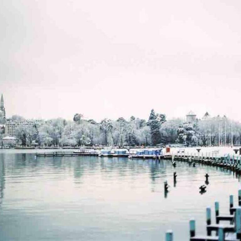 Le Bohème Beau T2 vue lac & montagnes + garage - Apartment mit 1 Schlafzimmer - 28