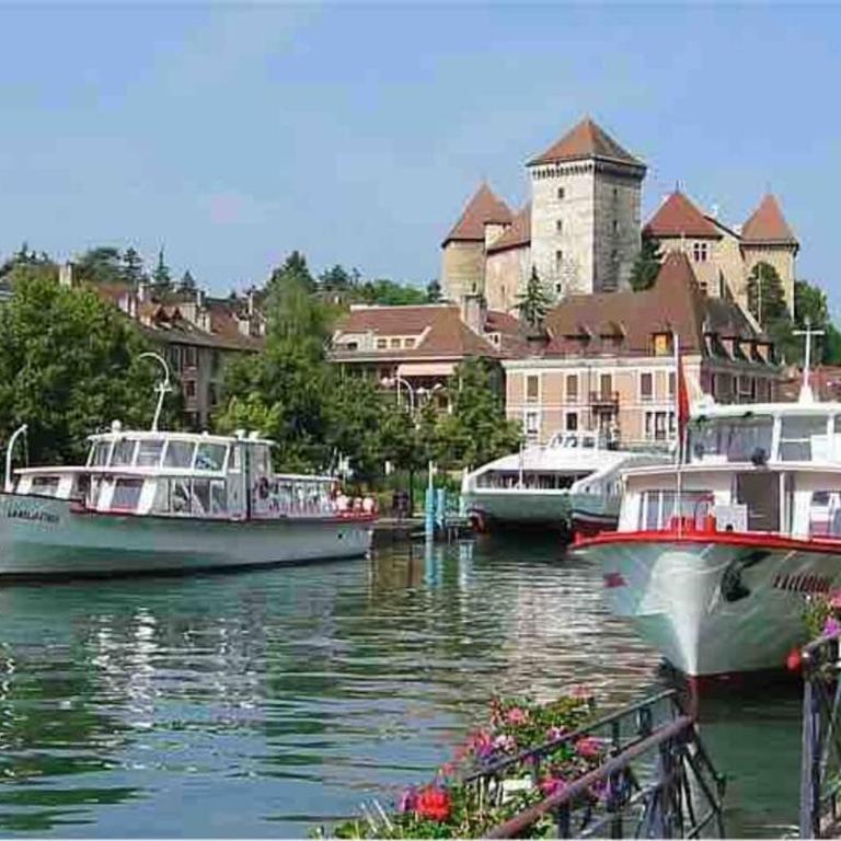 Le Bohème Beau T2 vue lac & montagnes + garage - Apartment mit 1 Schlafzimmer - 29
