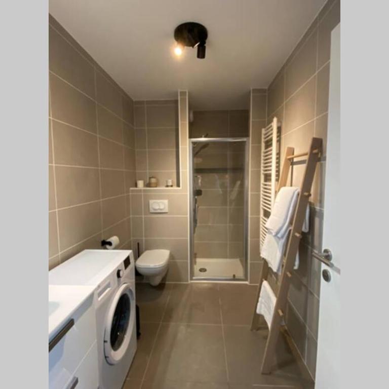Le Bohème Beau T2 vue lac & montagnes + garage - Apartment mit 1 Schlafzimmer - 19