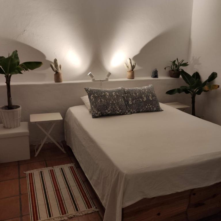 The best in the center of Tarifa - Apartamento con terraza - 69