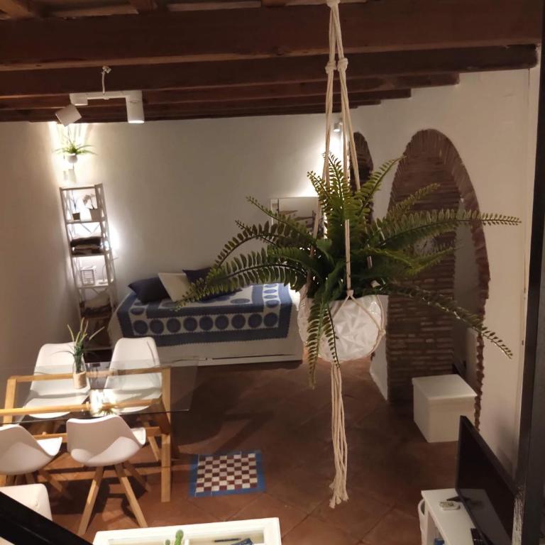 The best in the center of Tarifa - Apartamento con terraza - 64