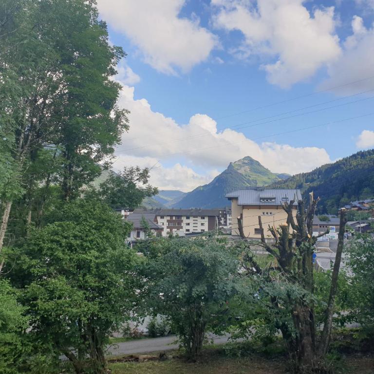 La Chanterelle Apartment - Appartement 2 Chambres - 27