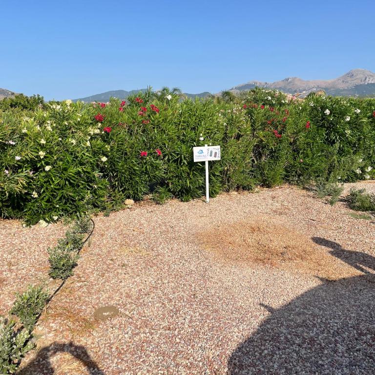MARE AZZURRO - Villa Fronte Spiaggia - 4