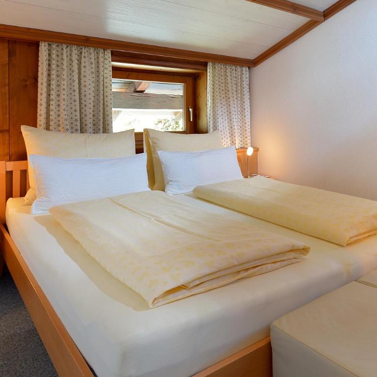 Pension Hinterholzer Apartments und Zimmer - Studio-Apartment mit Balkon - 6
