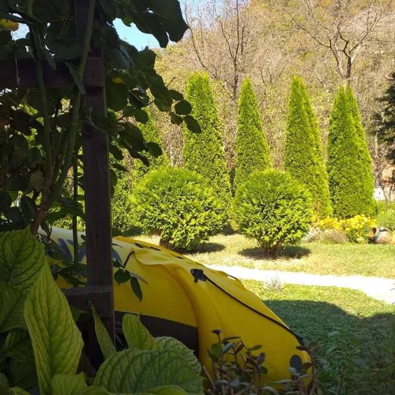 Drinska Tajna - Kuća sa 1 Spavaćom Sobom - 4