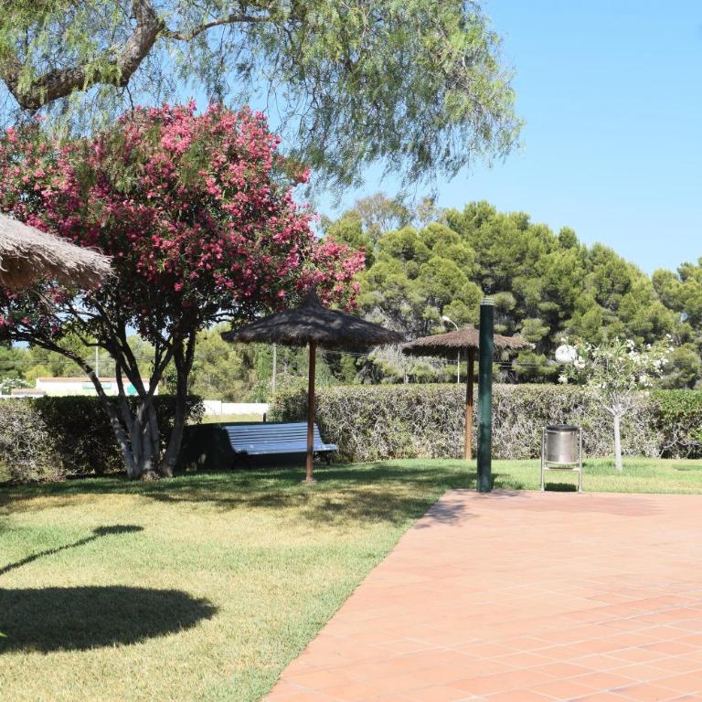 Anacasa Las Viñas Playa Rotas AP2140 - Apartamento - 22