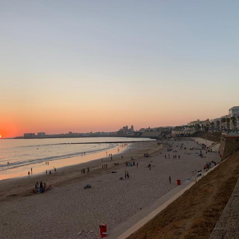 Loft Playa Santa María (Cádiz) - Apartamento - 61