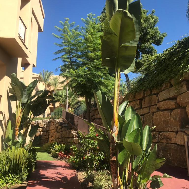 Luxury apartment in Benahavis with amazing views - Apartamento de 2 dormitorios - 38