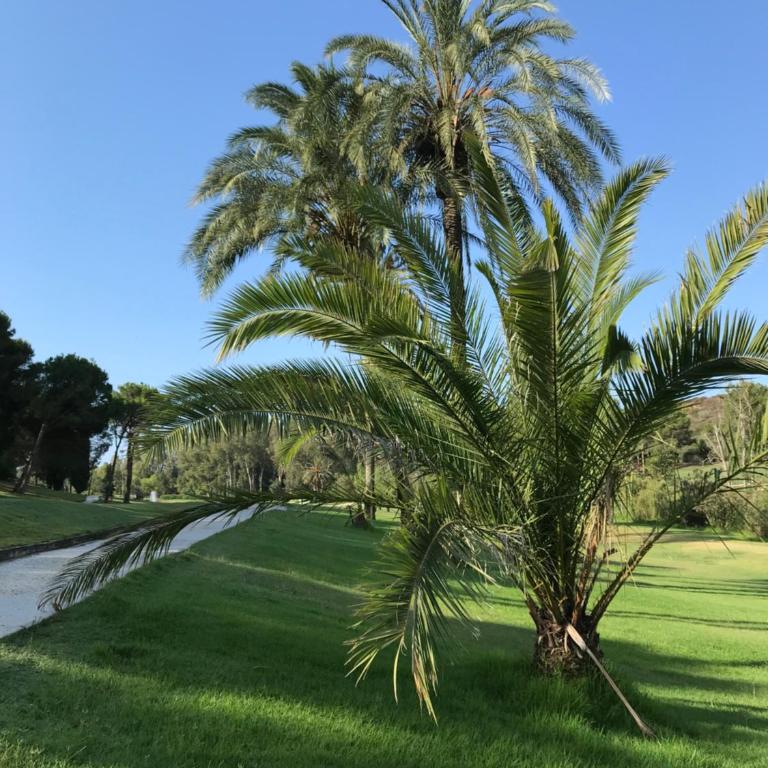 Luxury apartment in Benahavis with amazing views - Apartamento de 2 dormitorios - 40