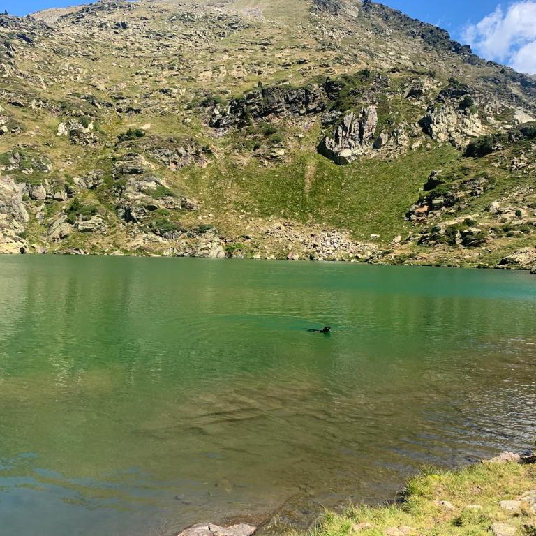 MAIANS - Hut 6098 - Vall d'Incles - Soldeu - Apartamento de 2 dormitorios - 31