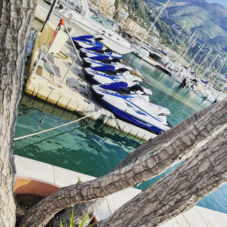 Location saisonnière Menton 220 M des plages - Apartamento con terraza - 17