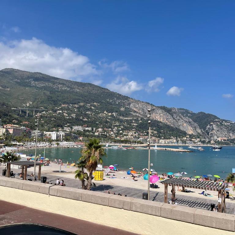 Location saisonnière Menton 220 M des plages - Apartamento con terraza - 36