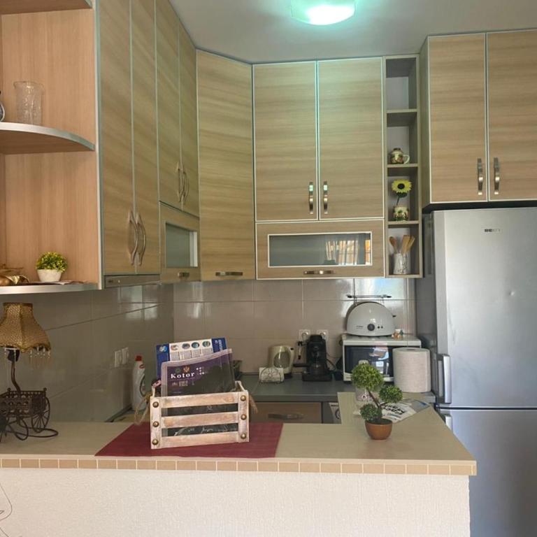 Apartment Jovicevic - Apartman s 1 Spavaćom Sobom, Balkonom i Pogledom na More - 36